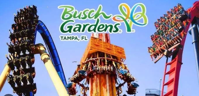 Ferienhaus Tropical Yardheated Poolfirepitgame Roombeach Clearwater Beach